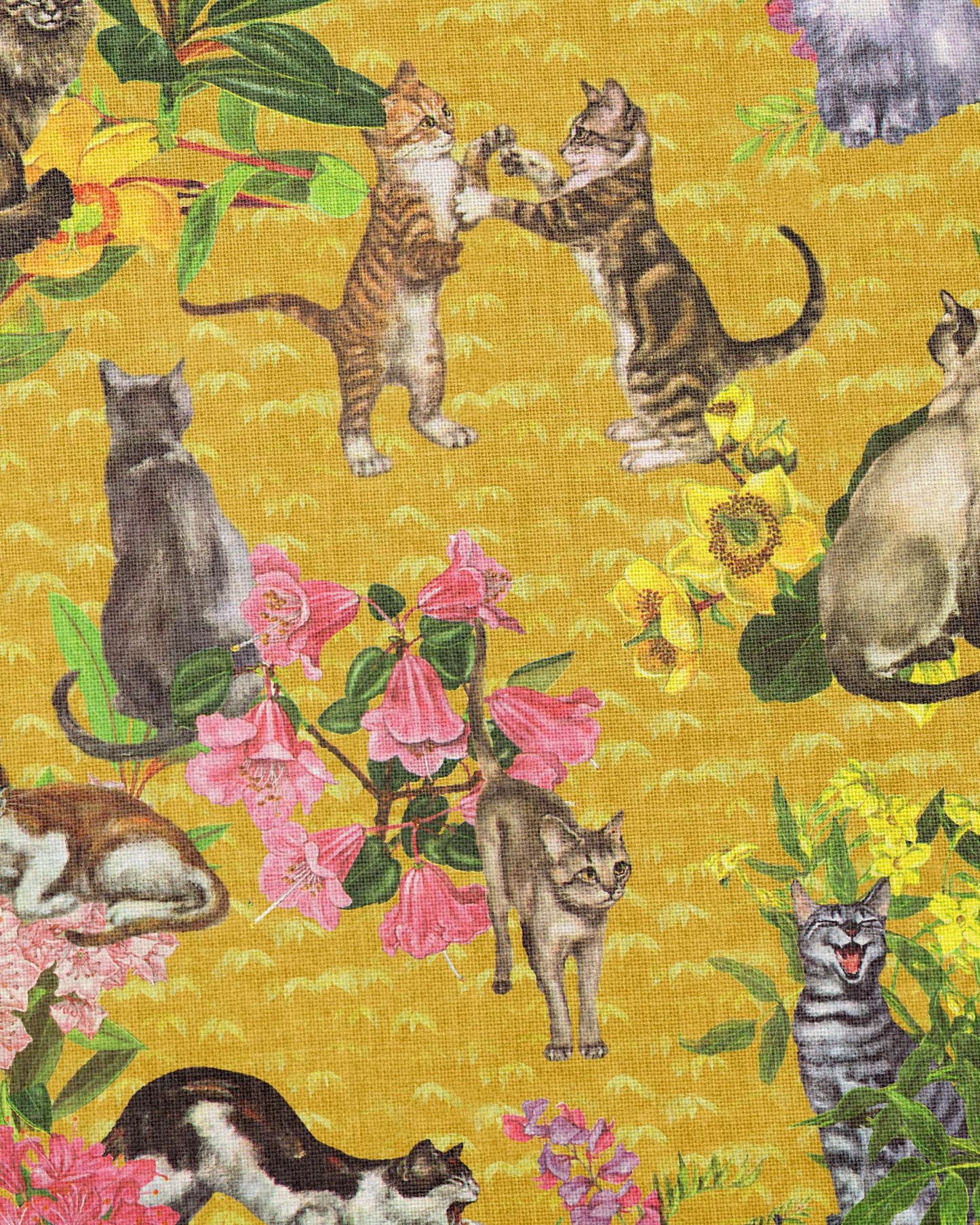 Crazy Cat Lady Fabric, in Yellow