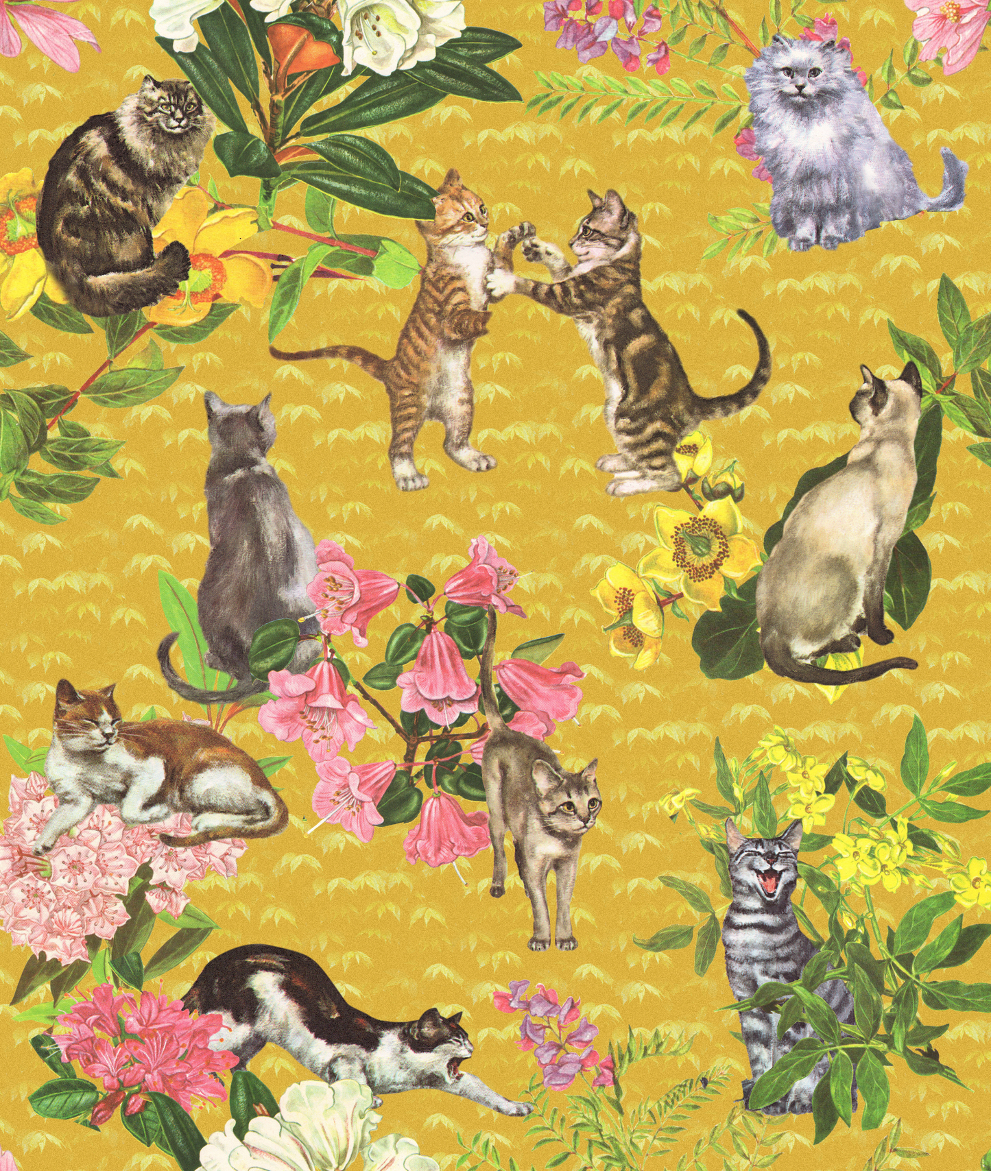 Crazy Cat Lady, in Golden Yellow | Peel & Stick